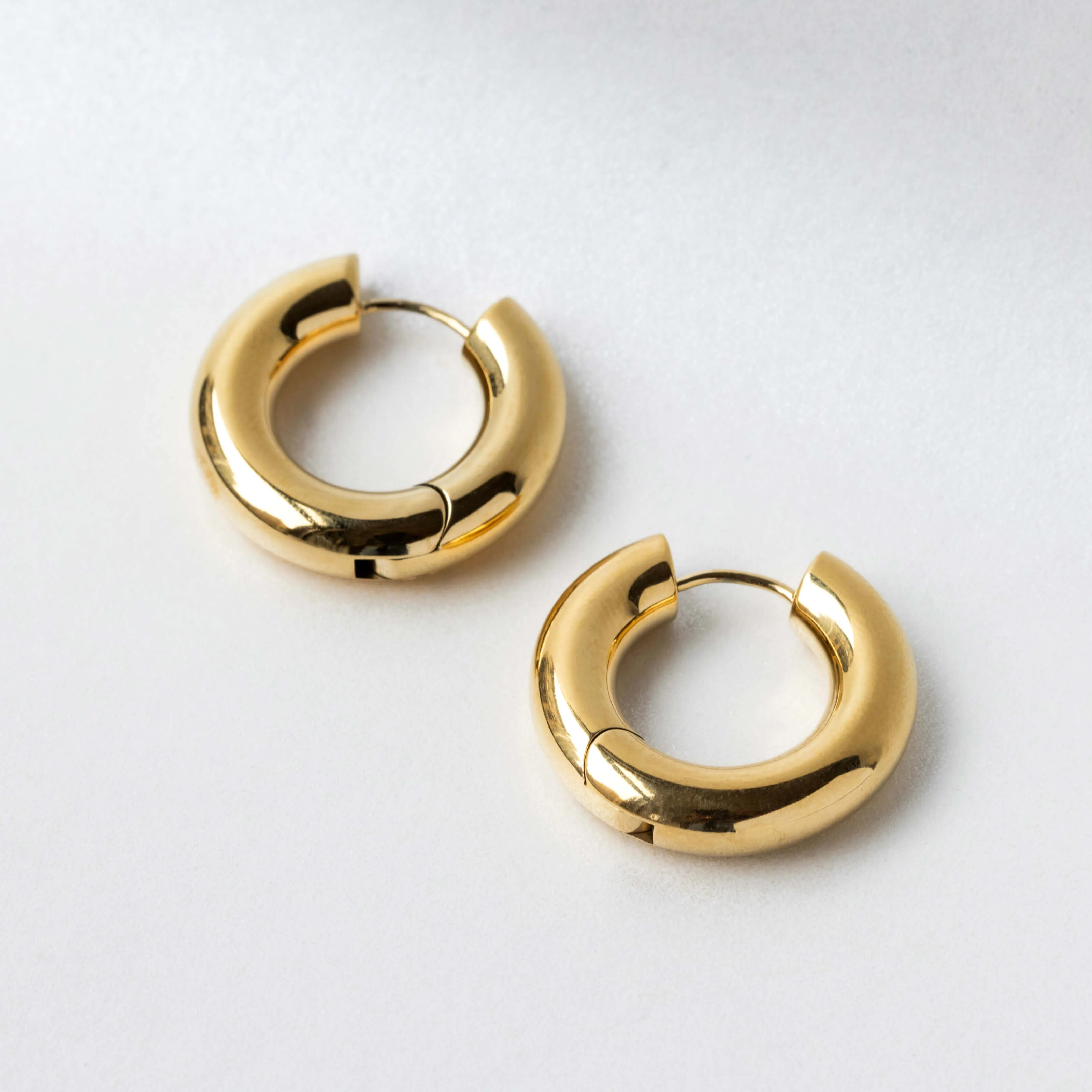 Every Body Hoops in Titanium - Image 5